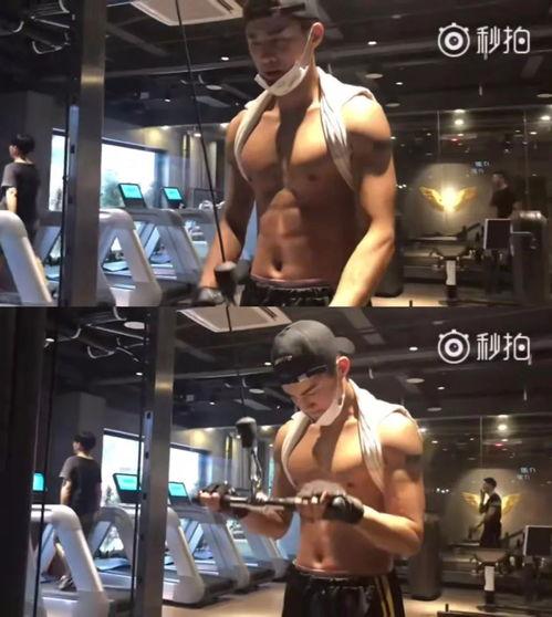 健身广场爆料视频大全集,揭秘健身圈那些事儿 第1张 健身广场爆料视频大全集,揭秘健身圈那些事儿 第1张