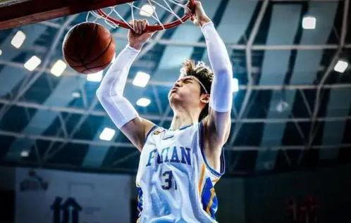 王哲林爆料视频,一场关于坚持与梦想的对话