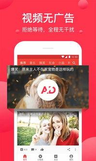 西瓜视频影视爆料王,影视行业最新动态揭秘