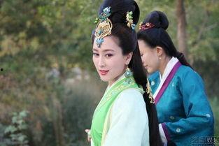 芈月传在线观看79集,权谋巅峰，芈月传奇落幕  第1张